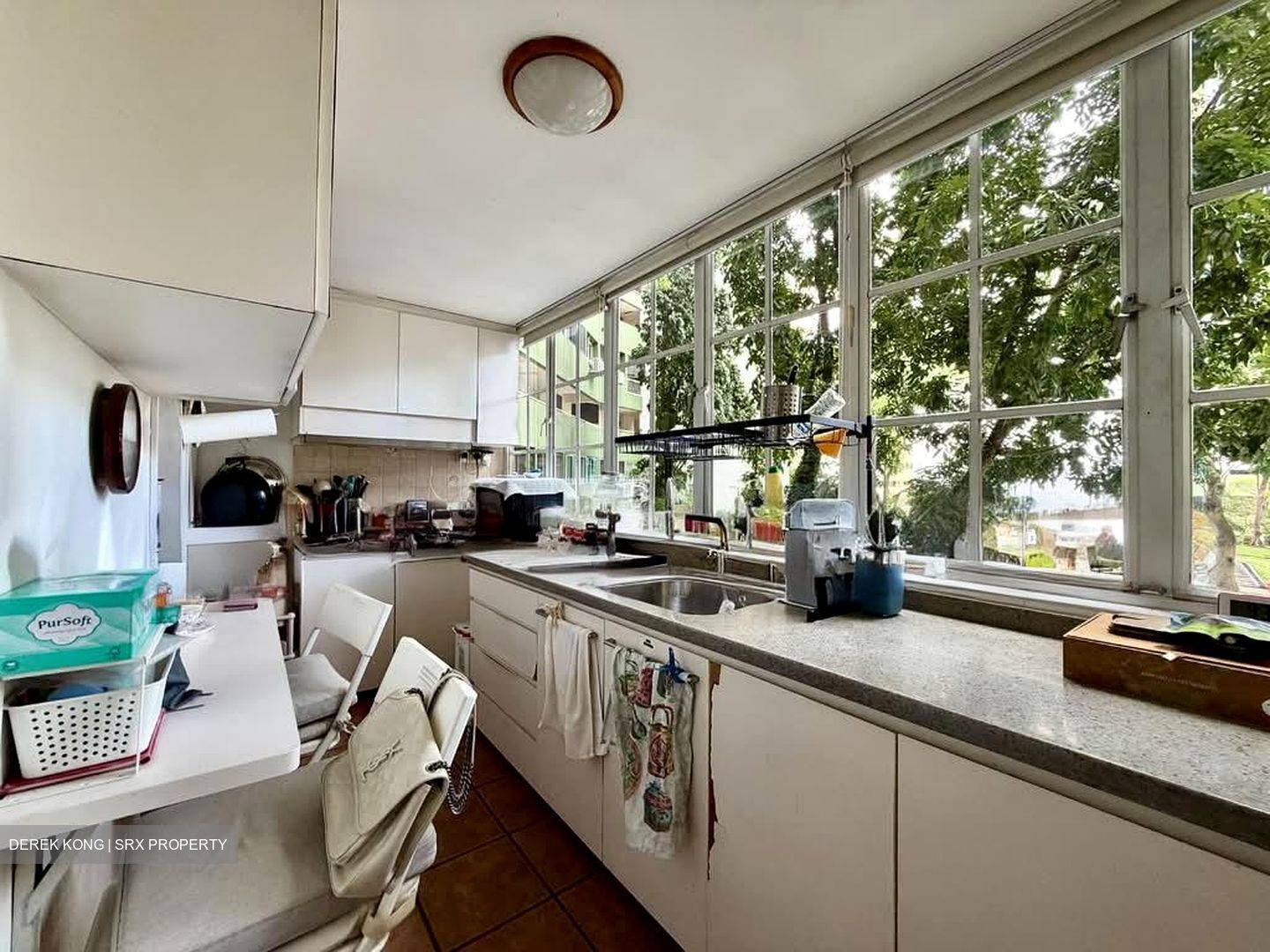 Pine Grove (D21), Condominium #557510871